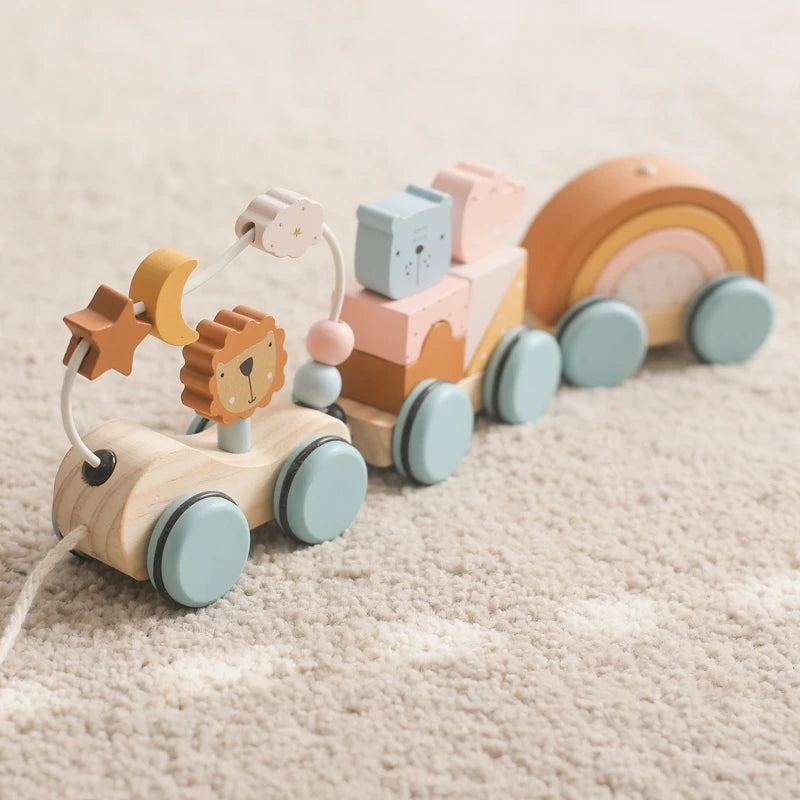 Wooden Baby Pull Along Toy